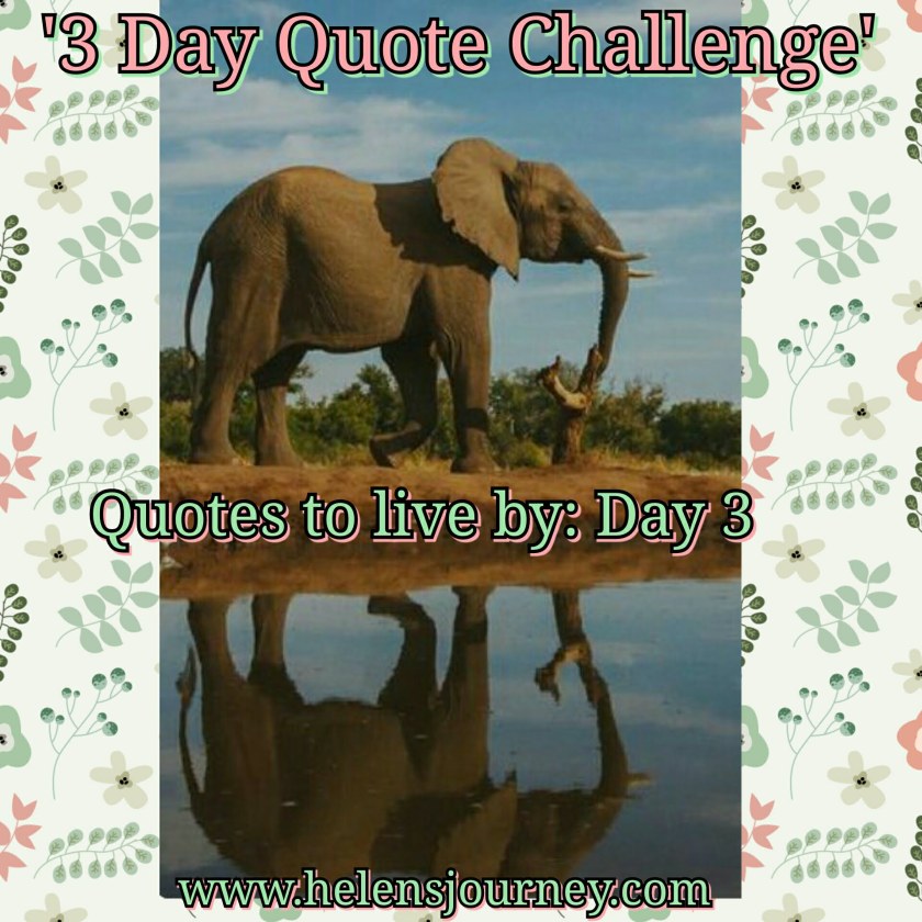 quote for world earth day. day 3 of 3 day quote challenge by helens journey blog www.helensjourney